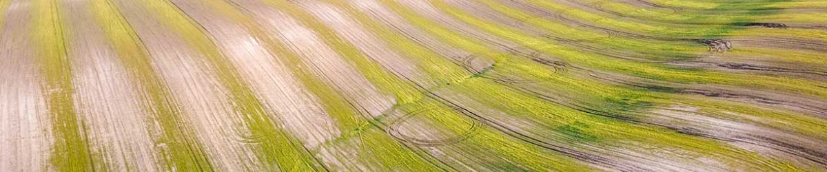 Bird's-eye view of a field