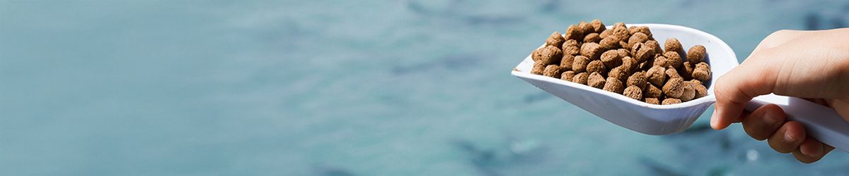 Preparing for Aquaculture Feed Certification: Next Steps for Pursuing the New ASC Feed Mill Certification 