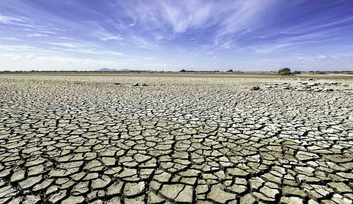 alliance for water stewardship