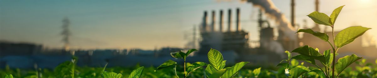 The Benefits of Certification under SCS’ Updated Carbon Neutral Standard