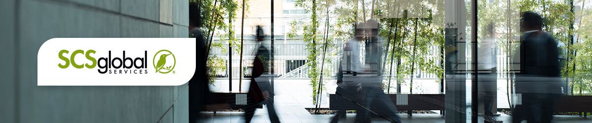 An Introduction to ESG Assurance and Reporting: Five Essentials Every Business Needs to Know 