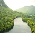 SCS Global Services Awards Its First Forest Stewardship Council (FSC) Forest Management Certification in Thailand  
