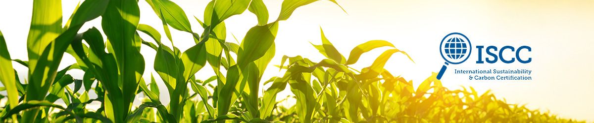 International Sustainability & Carbon Certification (ISCC) — Frequently Asked Questions 