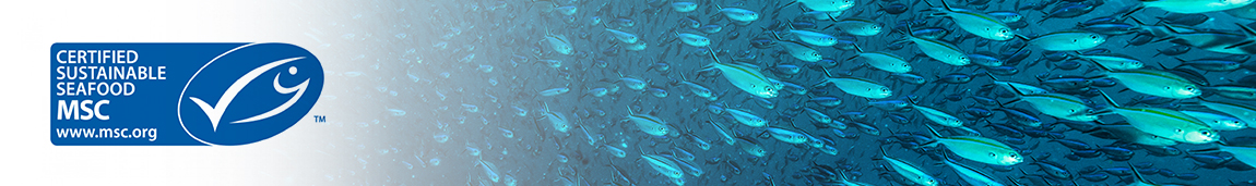 Logo with fishes swimming