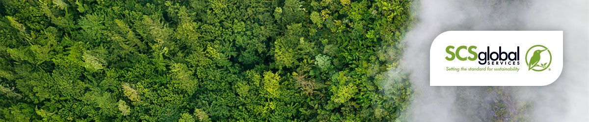 Prepare for New GHG Inventory Verification Regulations - The Experts Take Your Questions