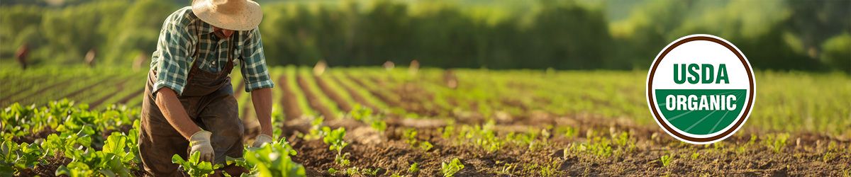 USDA Organic Certification: What Uncertified Importers Need to Know