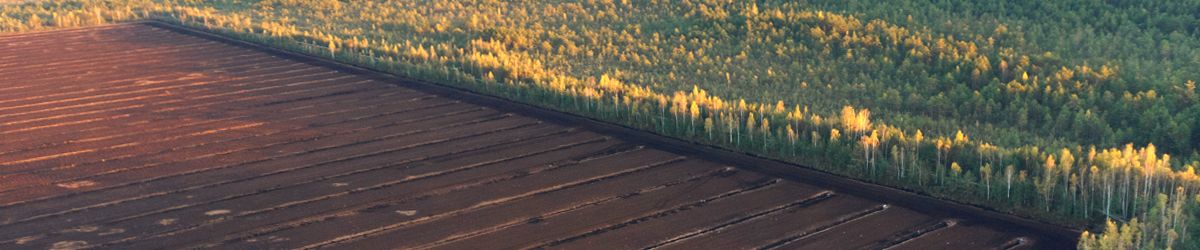 responsibly managed peatland