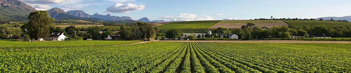 SCS Verifies First Agriculture Land Management Carbon Offset Project in Africa  under Verra’s Improved Agricultural Land Management (VM0042) Methodology 