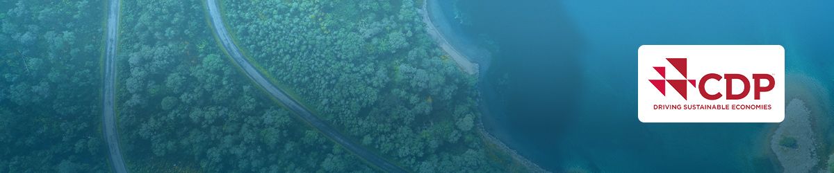 Carbon Disclosure Project (CDP): Anticipez la saison de reporting 2025 avec succès !