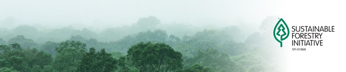 Introduction to SFI Chain of Custody Certification: What You Need to Know