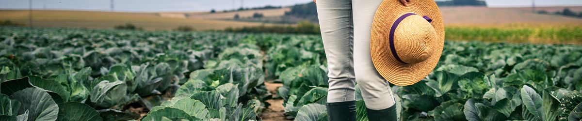 Strengthening Organic Enforcement 