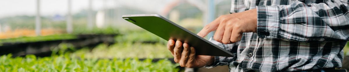 Strengthening Organic Enforcement (SOE) Summary