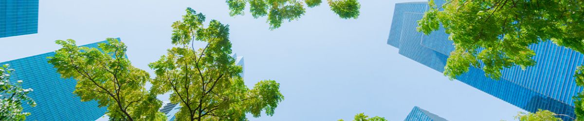 sustainability