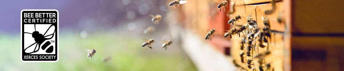 VFLP California's Burns Ranch Achieves SCS' First Bee Better Certification™