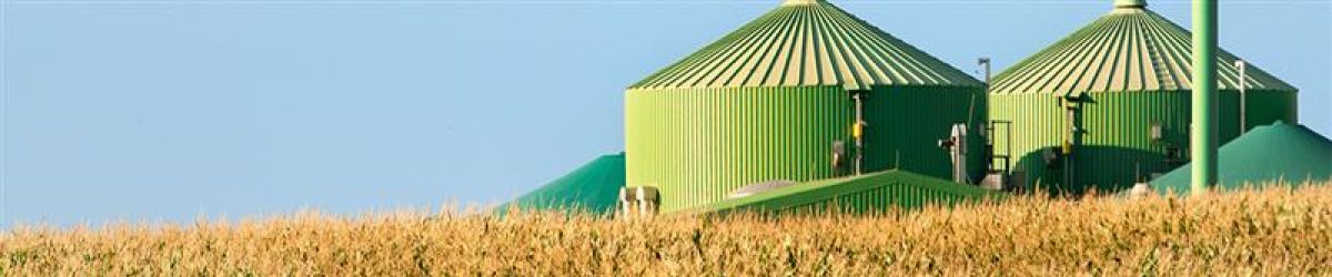 Certificações 2BS para Biocombustíveis, Biogás e Food & Feed: Requisitos, Benefícios, Ferramentas Essenciais e Impacto no Mercado