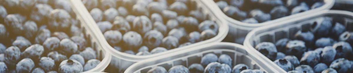 Blueberries