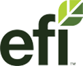 EFI logo