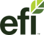 EFI logo