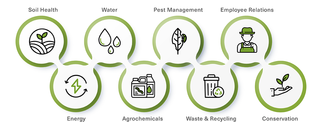Sustainability standards icons